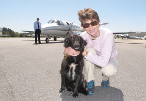 Philadelphia attorney Leslie Miller greets Charly, adopted from the Fairfield County Adoption Center. Miller flew into the Fairfield County Airport in her private jet Sunday, seen in the background with the plane’s co-pilot, to fetch the Australian Shepherd and take her home.