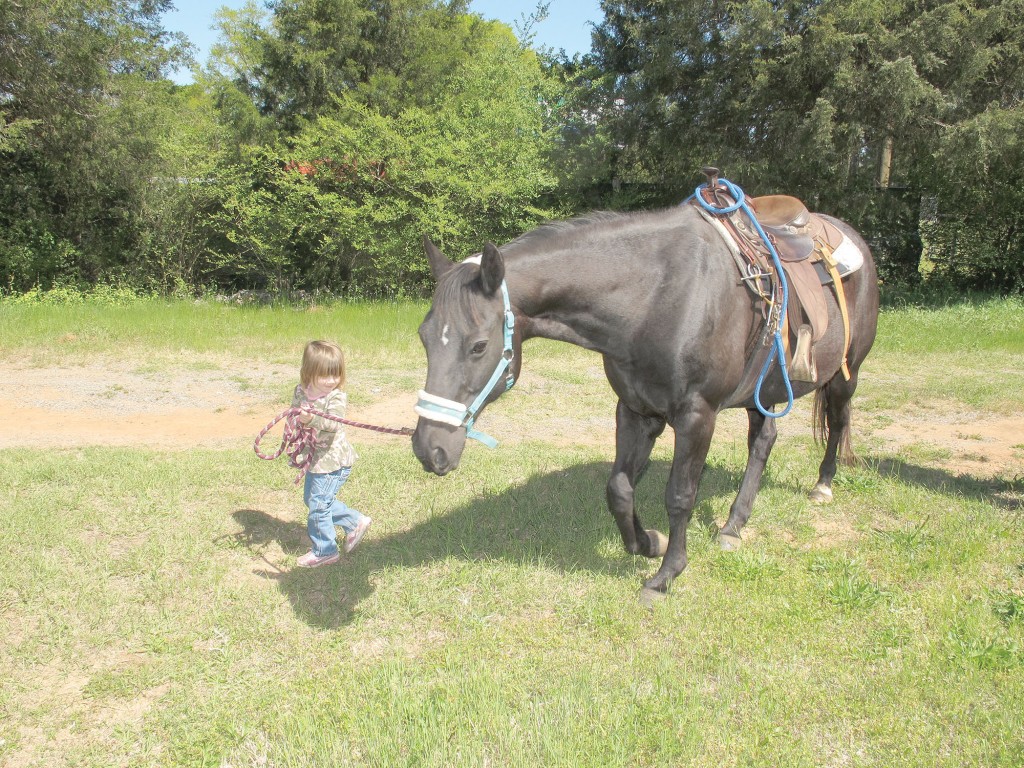 little girl leading horse copy