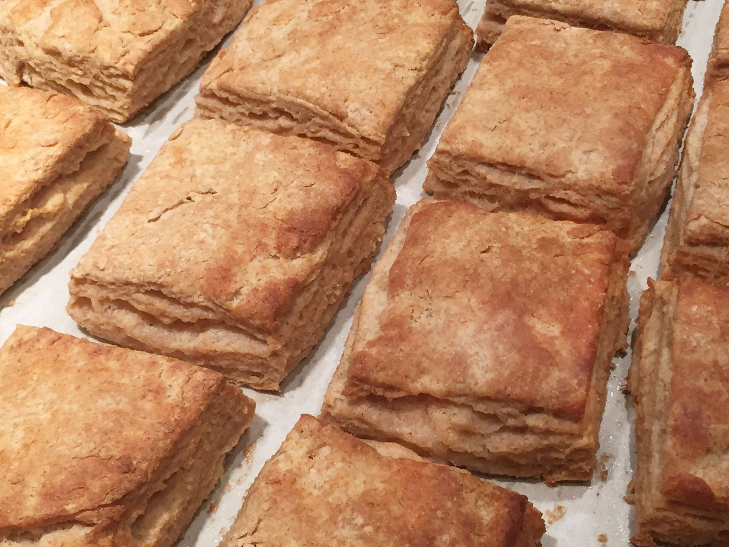 a_04_whole-wheat-flaky-biscuits
