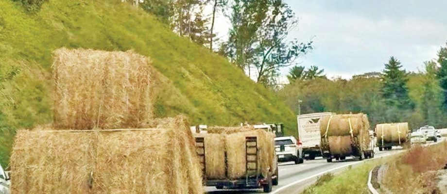 Fairfield, BW truckers haul hay to NC